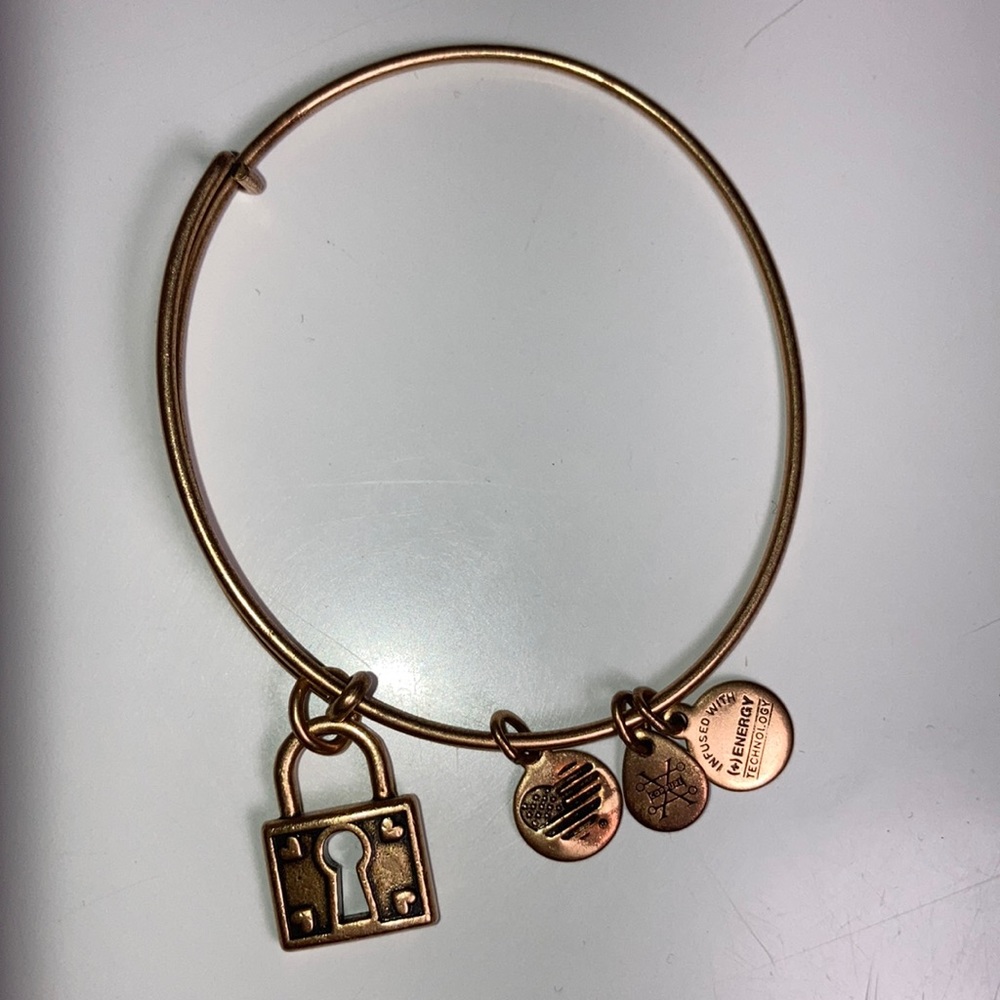 Alex and Ani Unbreakable Love Charm Bangle